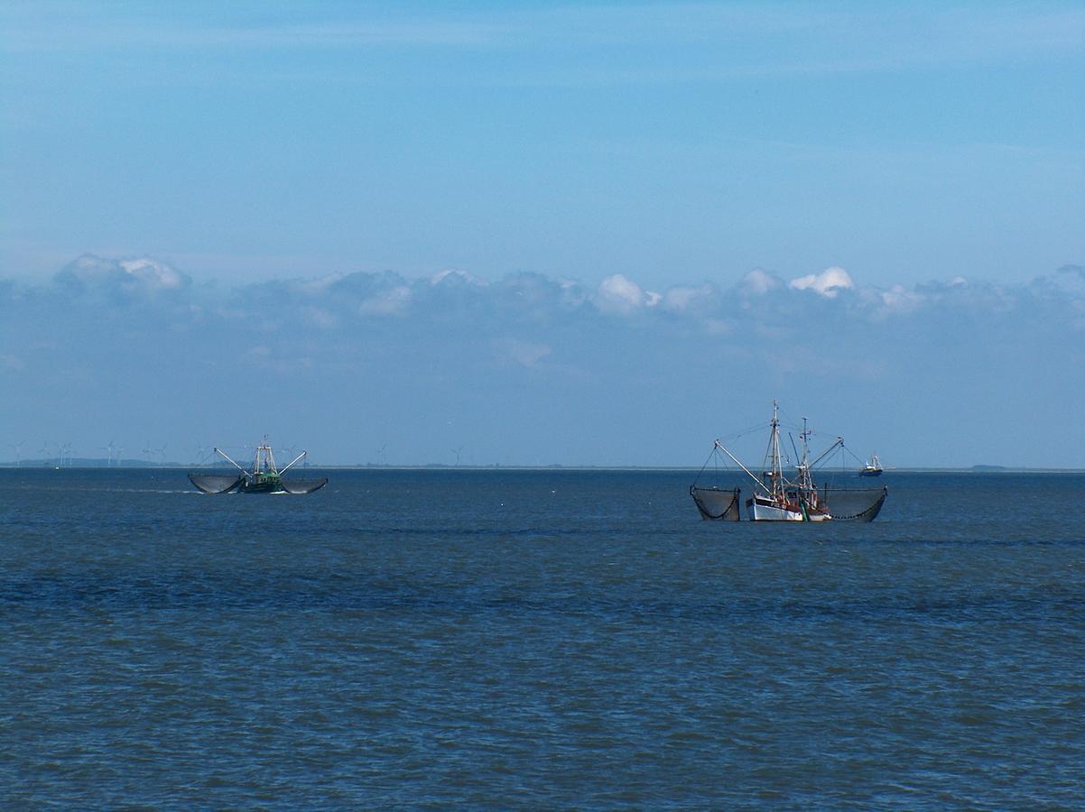 Nordsee Lodge Pelvorm Eksteriør billede